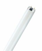 Люм лампа OSRAM L 18W/765  (25)
