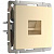 Веркель Телефонная розетка   a040909  (шампань) снят